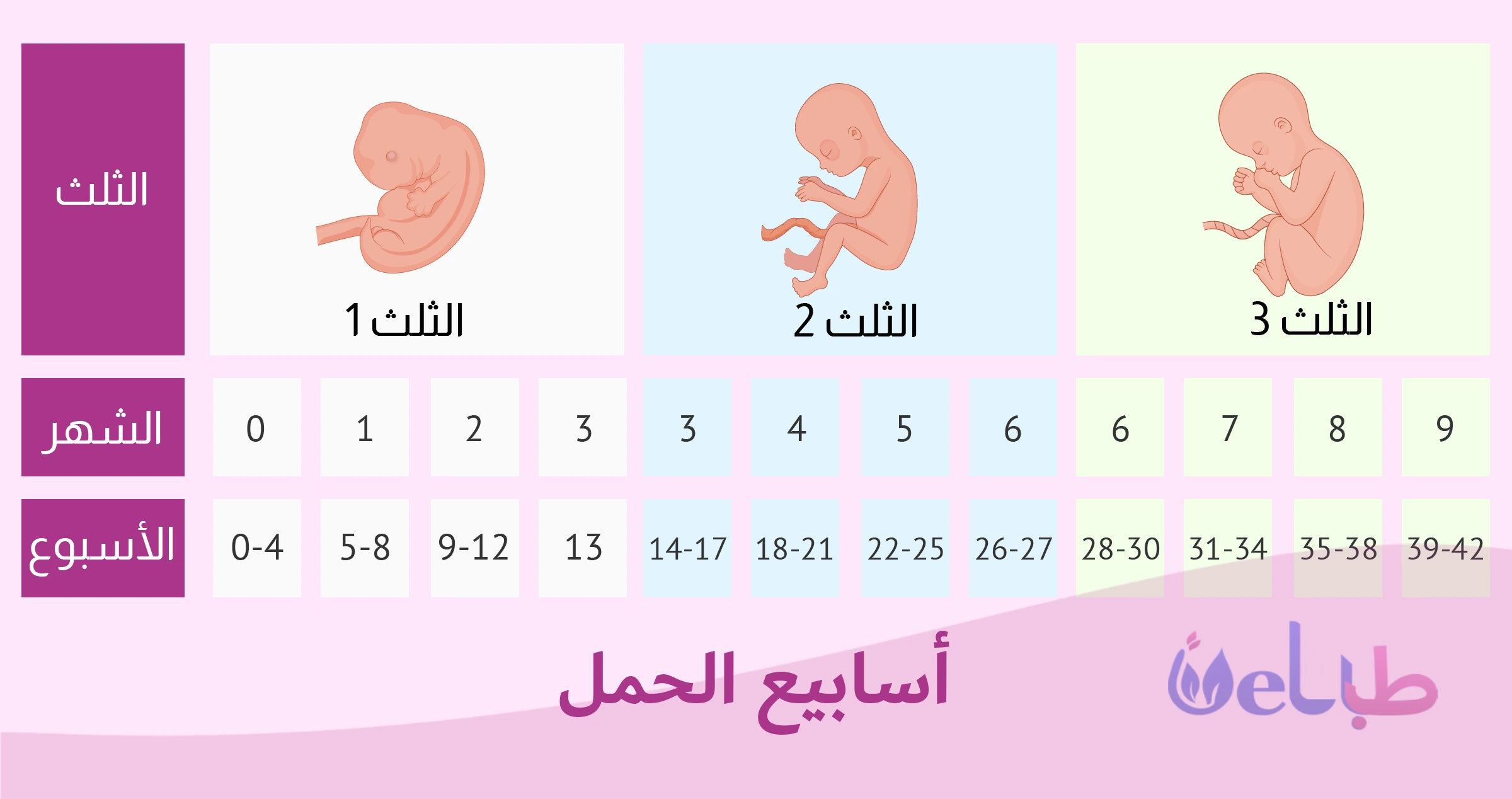 مقالات حول الأم والطفل 5 أسابيع الحمل
